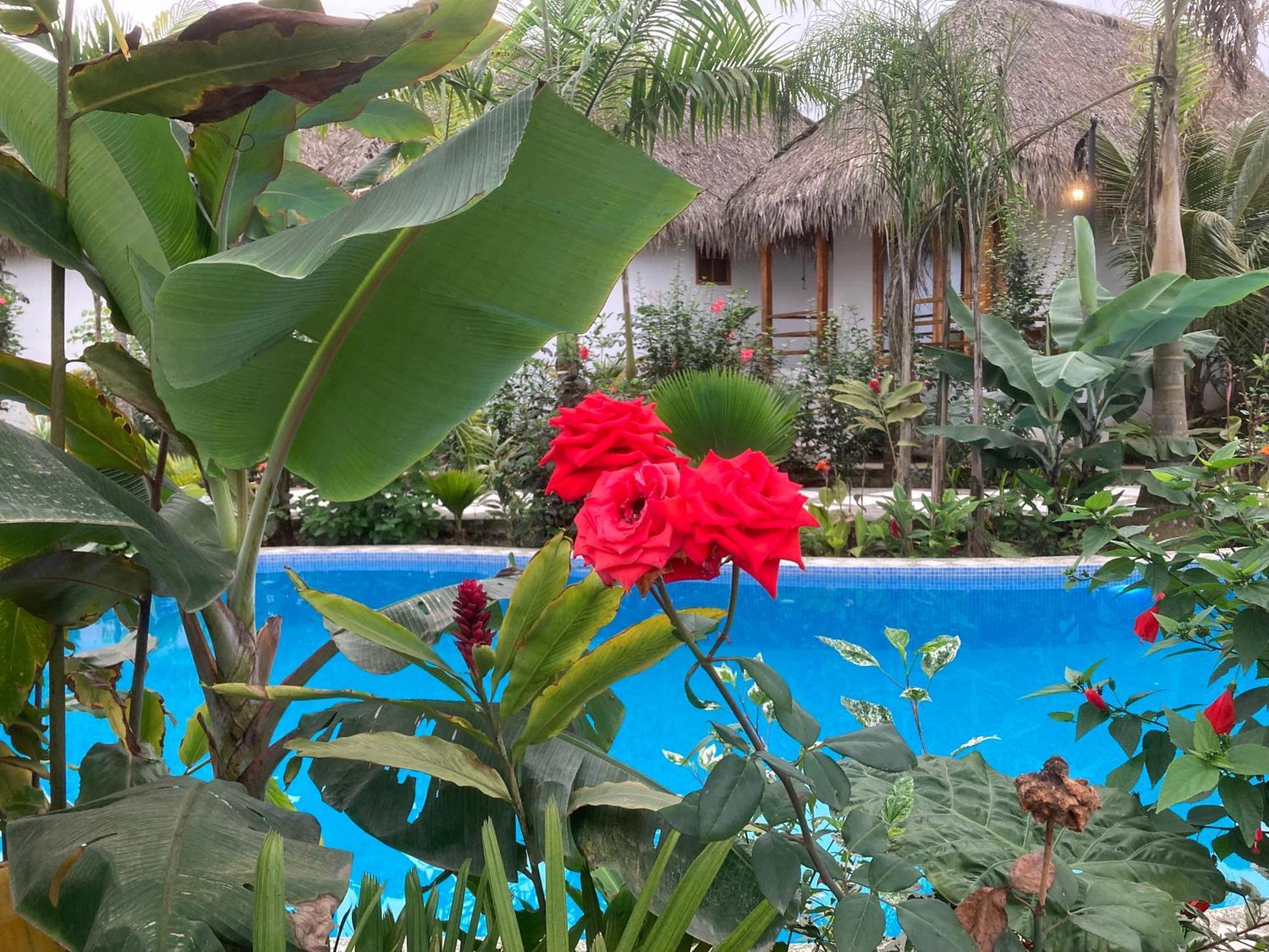 Hotel La Costa International Puerto López 外观 照片