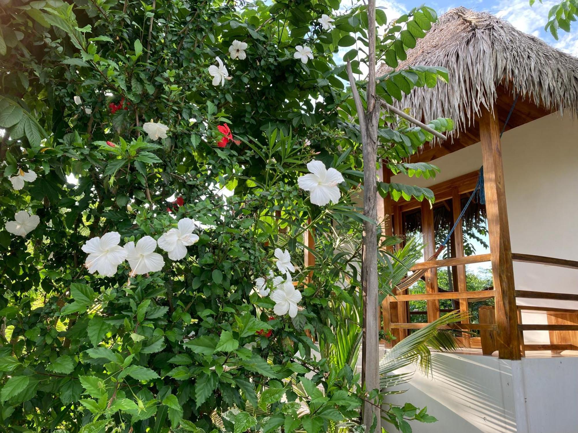 Hotel La Costa International Puerto López 外观 照片
