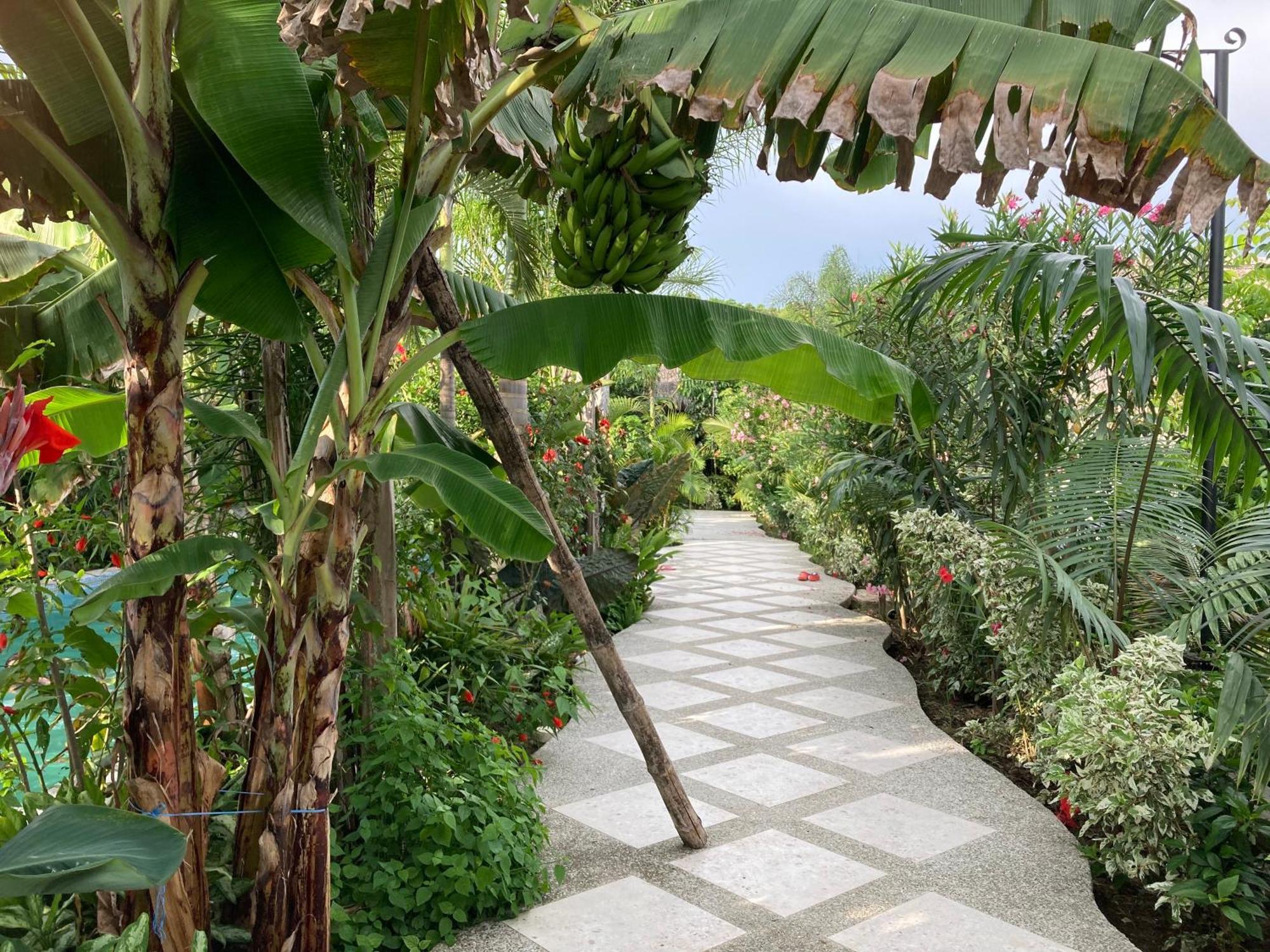 Hotel La Costa International Puerto López 外观 照片